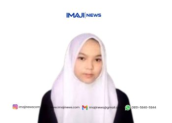 Strategi Blue Ocean: Mengubah Persaingan Menjadi Inovasi Tak Tertandingi