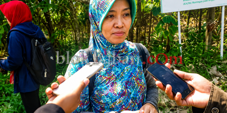 Dosen Ilmu Komunikasi Terbitkan Buku Hukum Media Massa, Kupas Kebebasan Pers hingga Tantangan AI di Era Digital