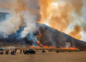 Kebakaran Bromo Meluas, Ratusan Hektare Kawasan Terdampak dan Akses Wisata Ditutup